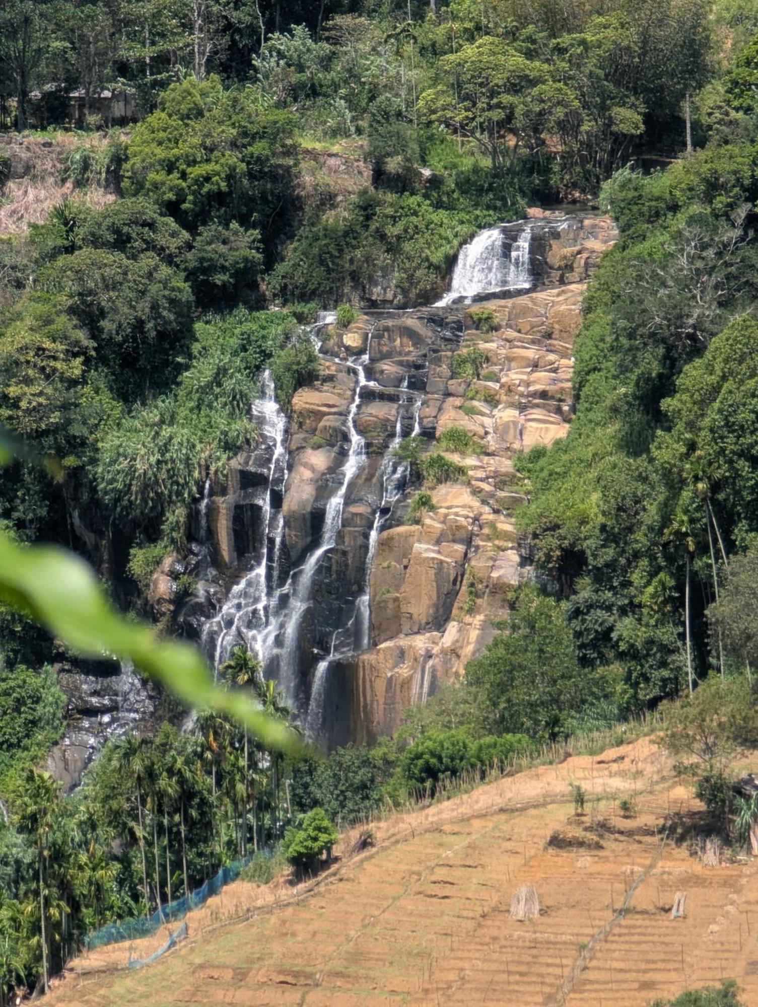 إيلا Glorious Nature Inn المظهر الخارجي الصورة